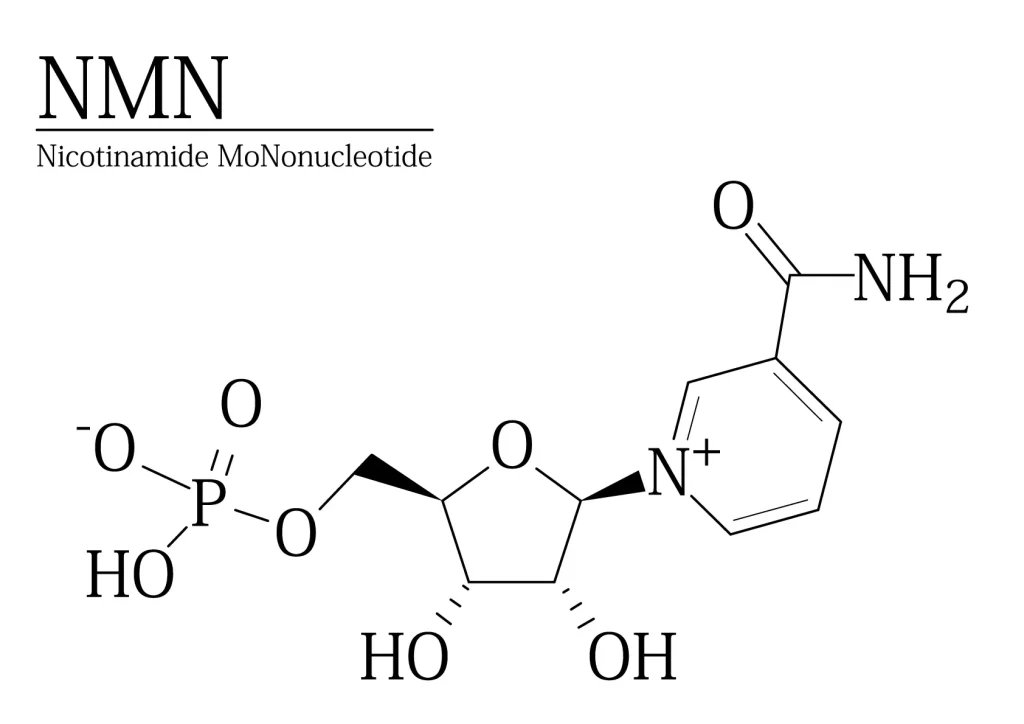NMN
